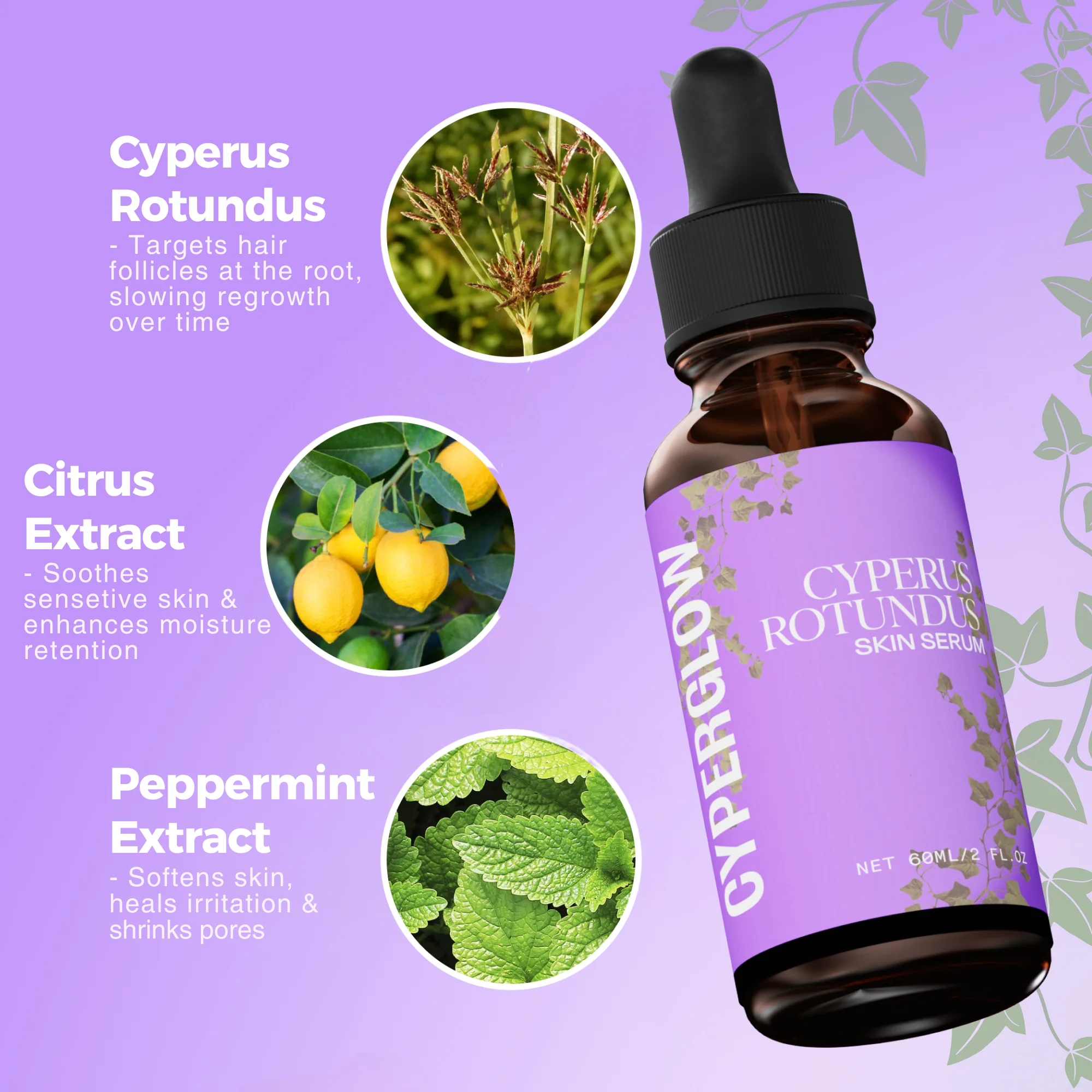 Cyperus - disparition définitve des poils !